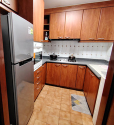 Signature Park (D21), Condominium #550991041